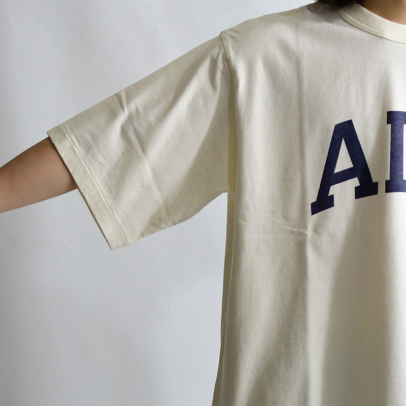 COTTON RAYON 88/12 PRINT TEE ALE-Y IVORY -WHITE/BLUE- | IN ONLINE 