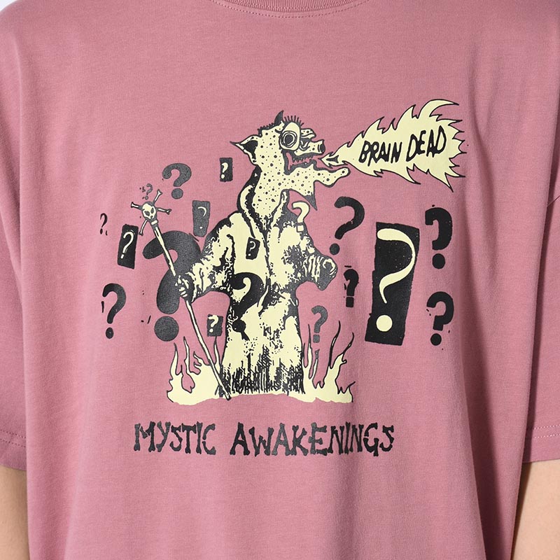 MYSTIC AWAKENINGS T-SHIRT -ROSE TAUPE-