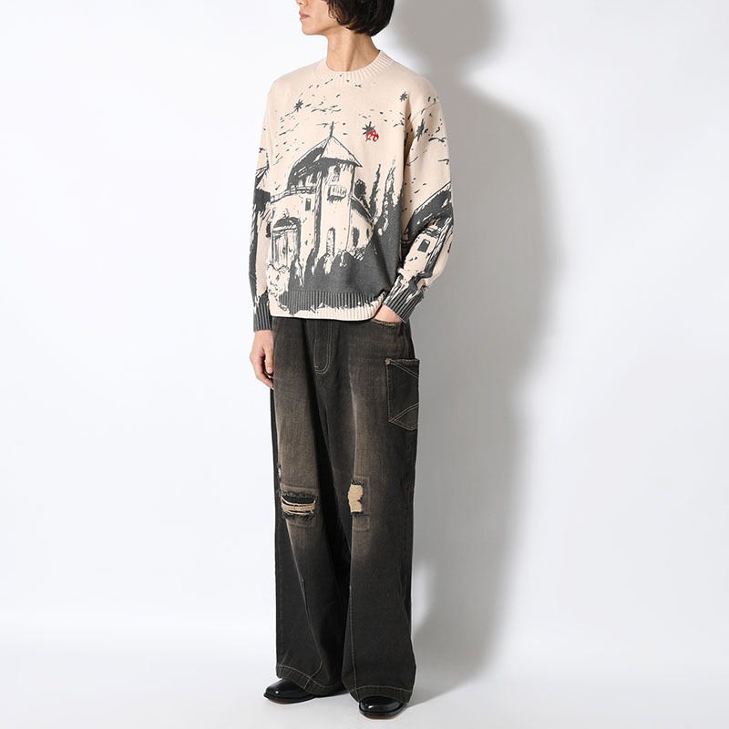 GRAPHIC KNIT -2.COLOR-