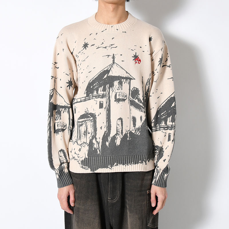 GRAPHIC KNIT -2.COLOR-