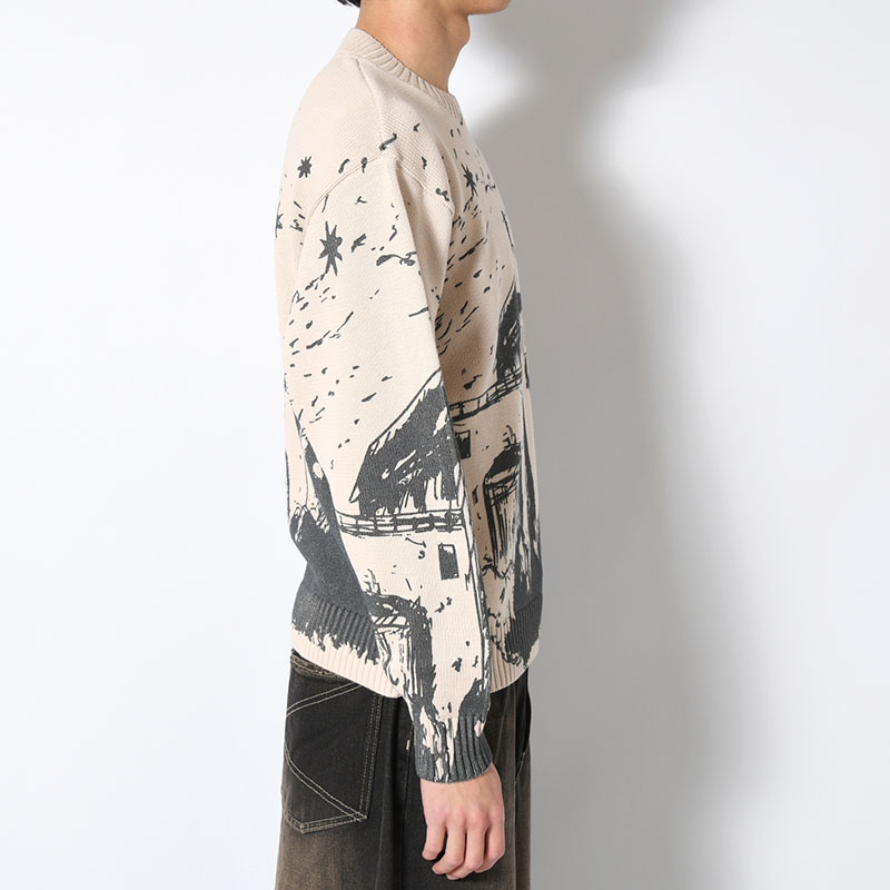 GRAPHIC KNIT -2.COLOR-