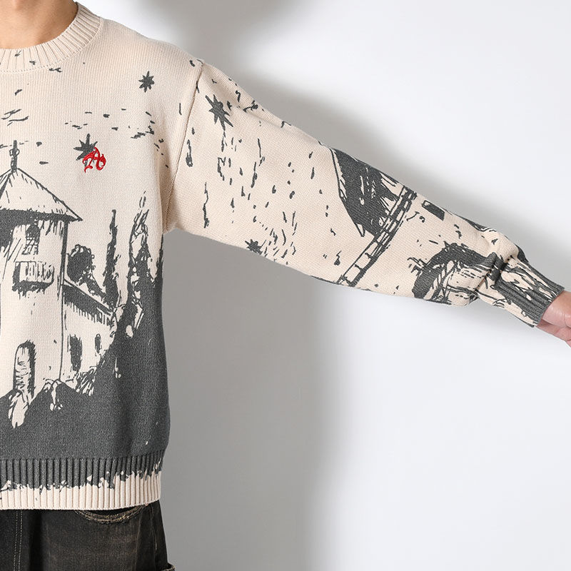 GRAPHIC KNIT -2.COLOR-