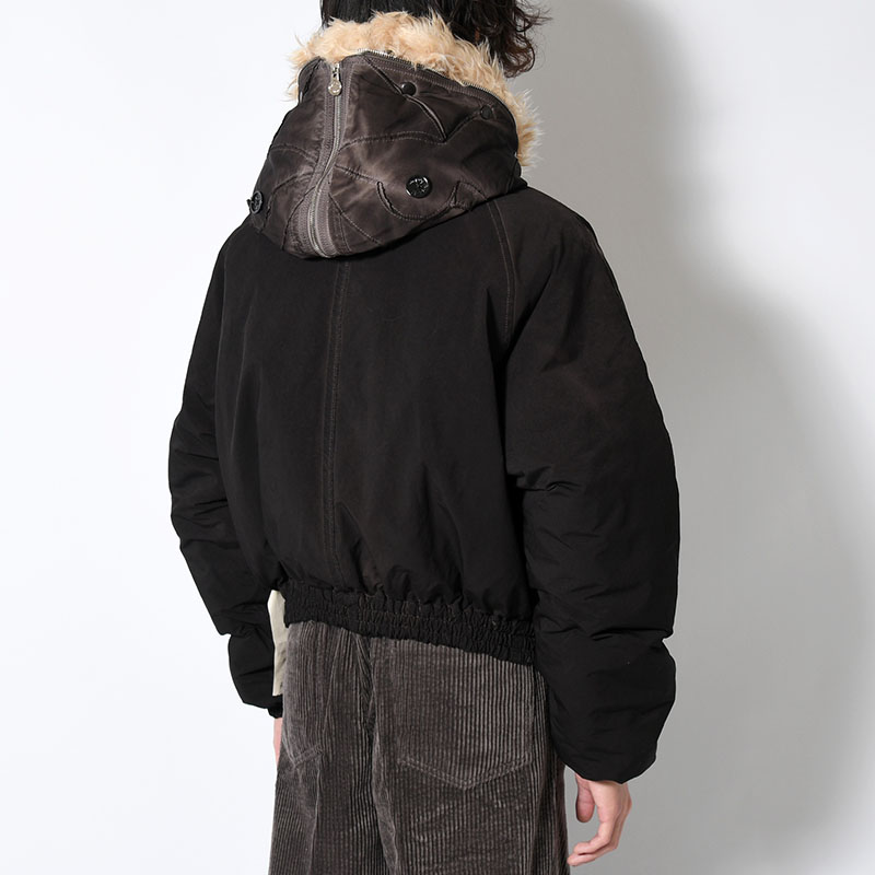 P(ENGUIN)2-B  -2.COLOR-