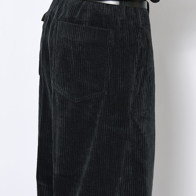 TUCK-BAGGY TYPE3 Enshu Japan Soft Cord FAB -3.COLOR-