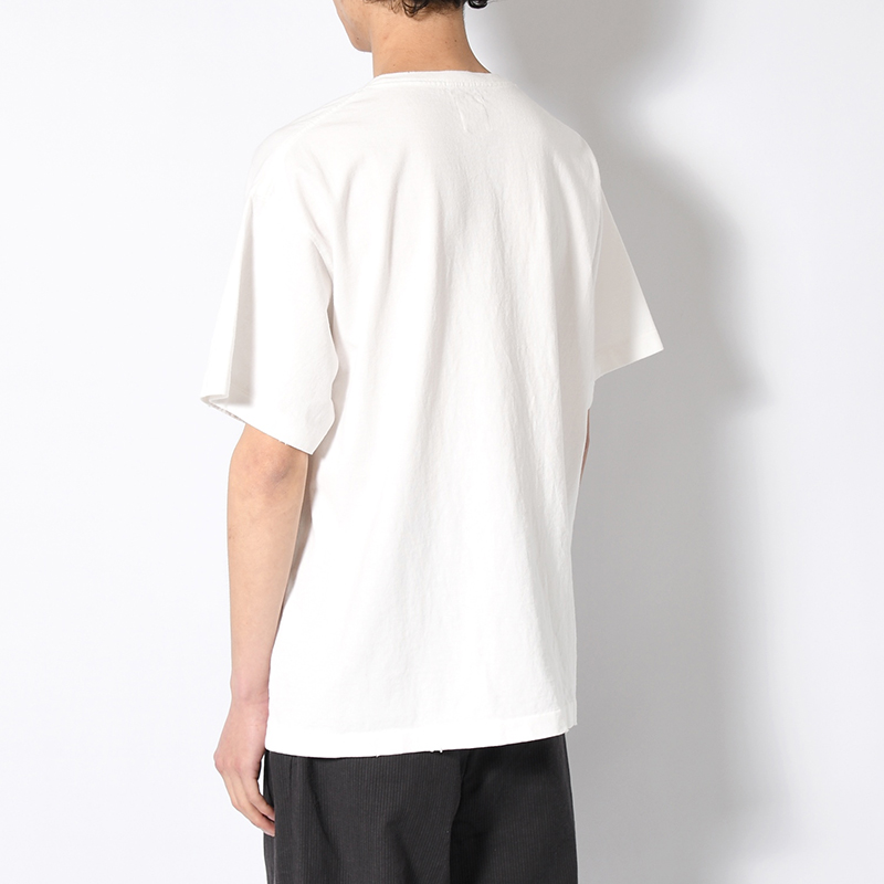 BRAWN `66 TEE -2.COLOR-