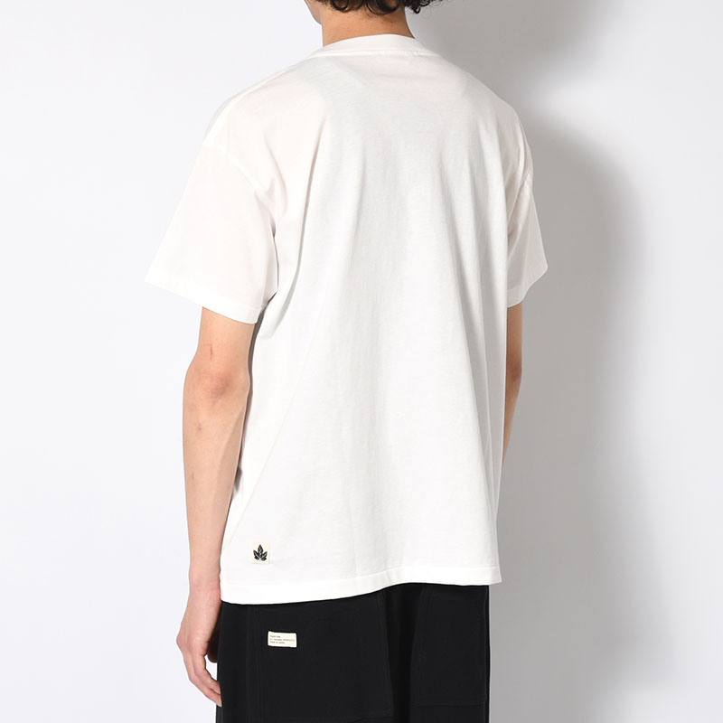 AEGEAN ORGANIC STANDARD TEE -3.COLOR-