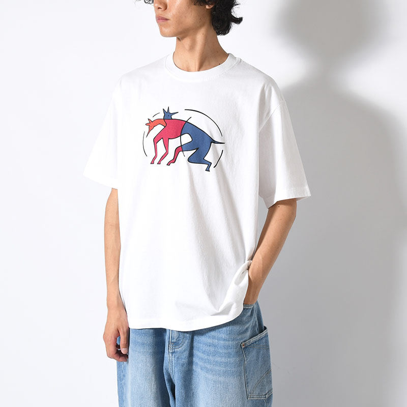 THE ZOOMIES T-SHIRT -2.COLOR-