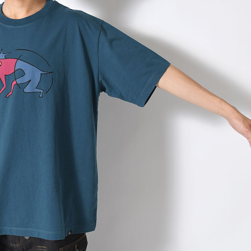 THE ZOOMIES T-SHIRT -2.COLOR-