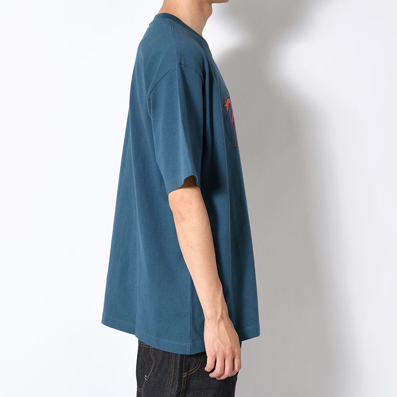 THE ZOOMIES T-SHIRT -2.COLOR-