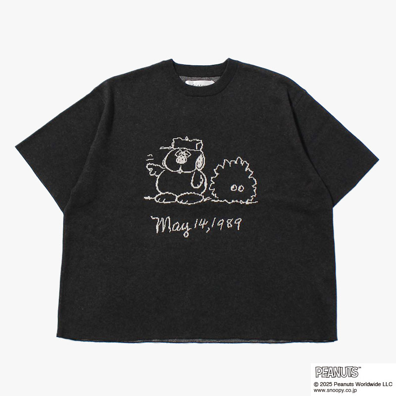 バリエーション画像