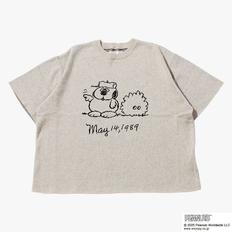バリエーション画像