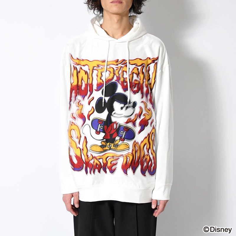 TR-070 HOT DIGGITY -2.COLOR-