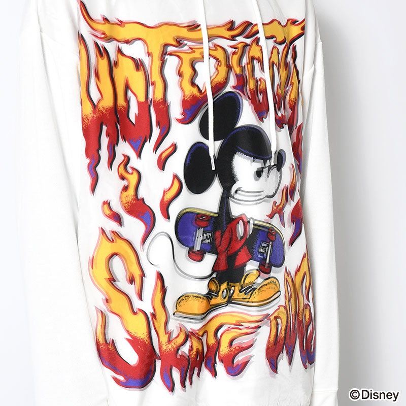 TR-070 HOT DIGGITY -2.COLOR-