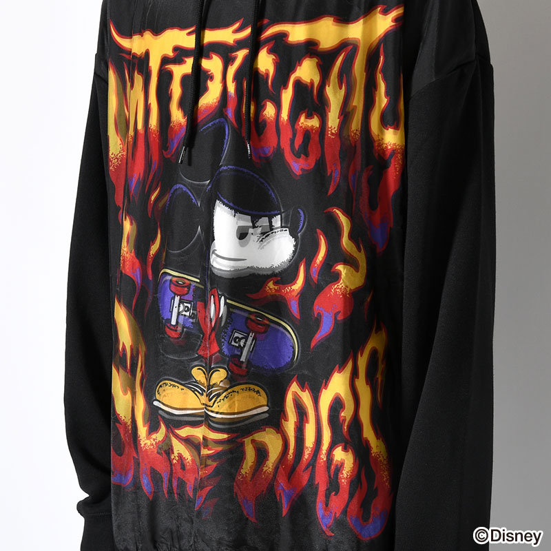 TR-070 HOT DIGGITY -2.COLOR-