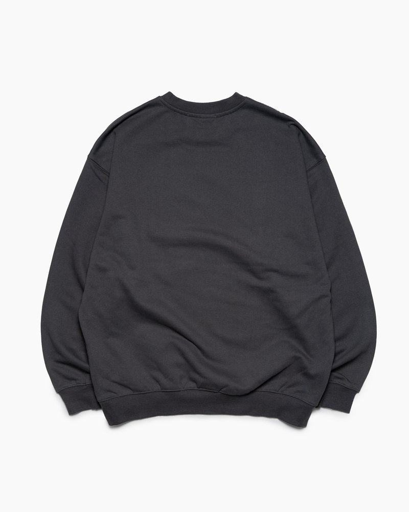 FULL-SIZE GRAPHIC PRINT CREW -SUMI-