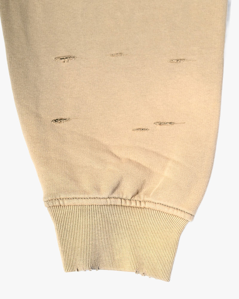 EAGLES SOAR ZIP HOODIE -BEIGE-