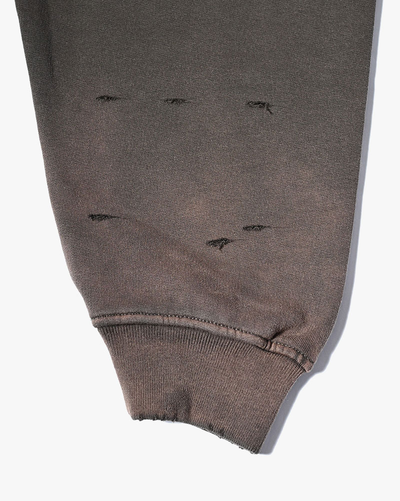 EAGLES SOAR ZIP HOODIE -GREGE-