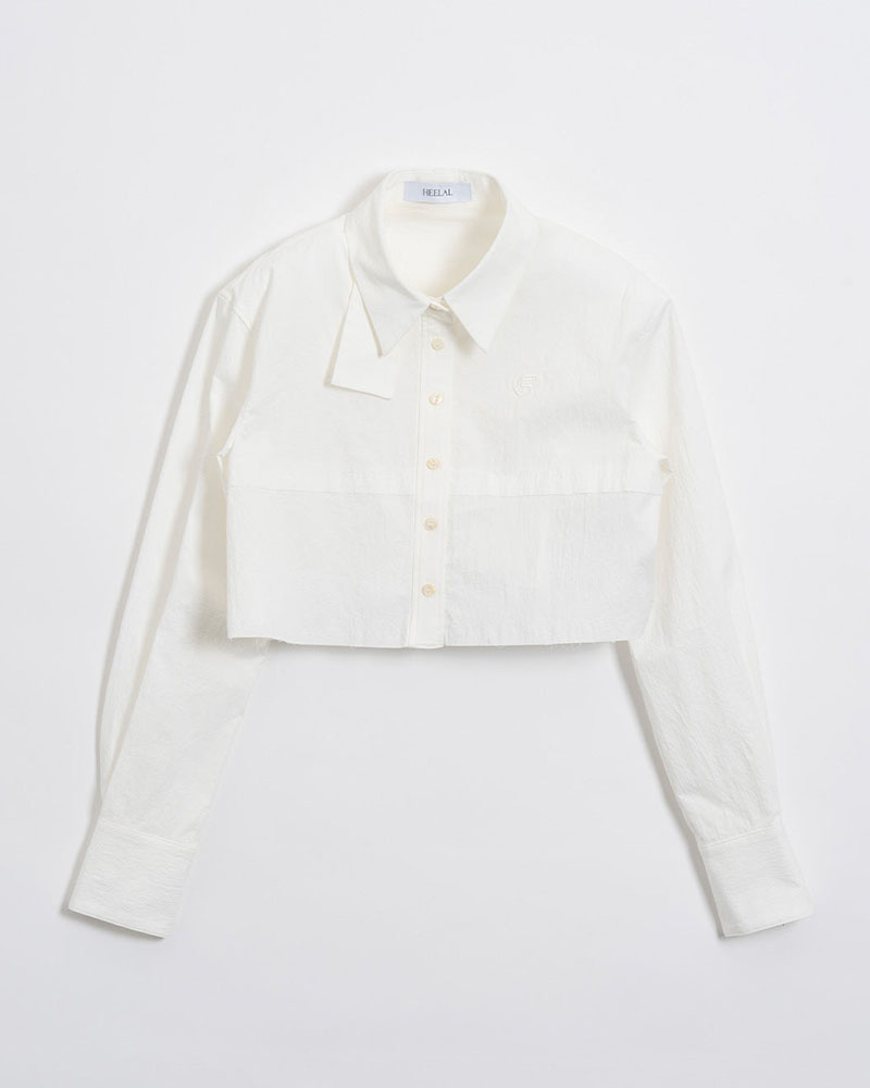 バリエーション画像