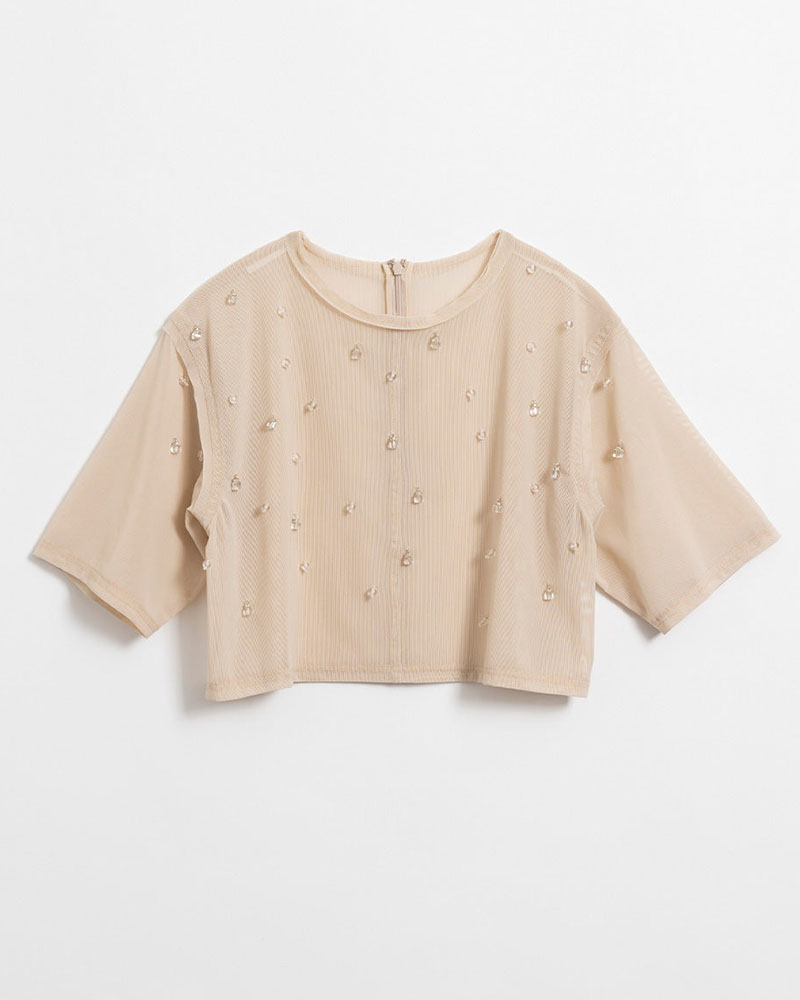 バリエーション画像