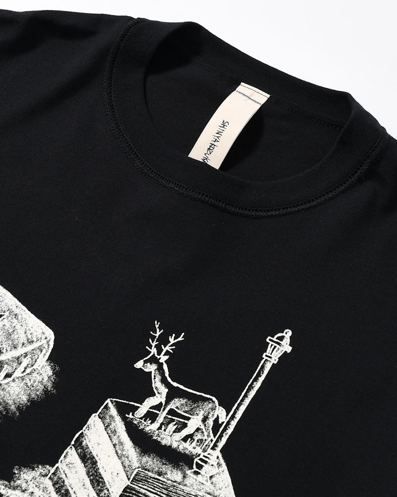 A ZOOM OF A ROOM -BLACK-