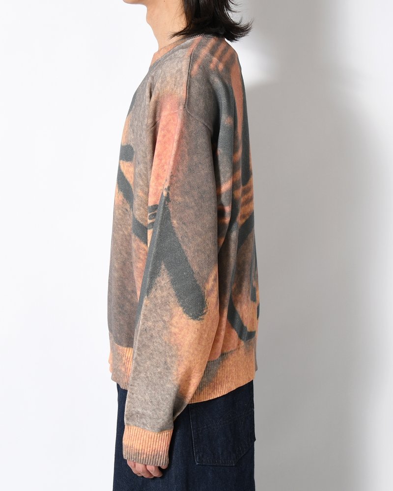 GETTING OVER PRINTED KNIT CREWNECK -MULTI-