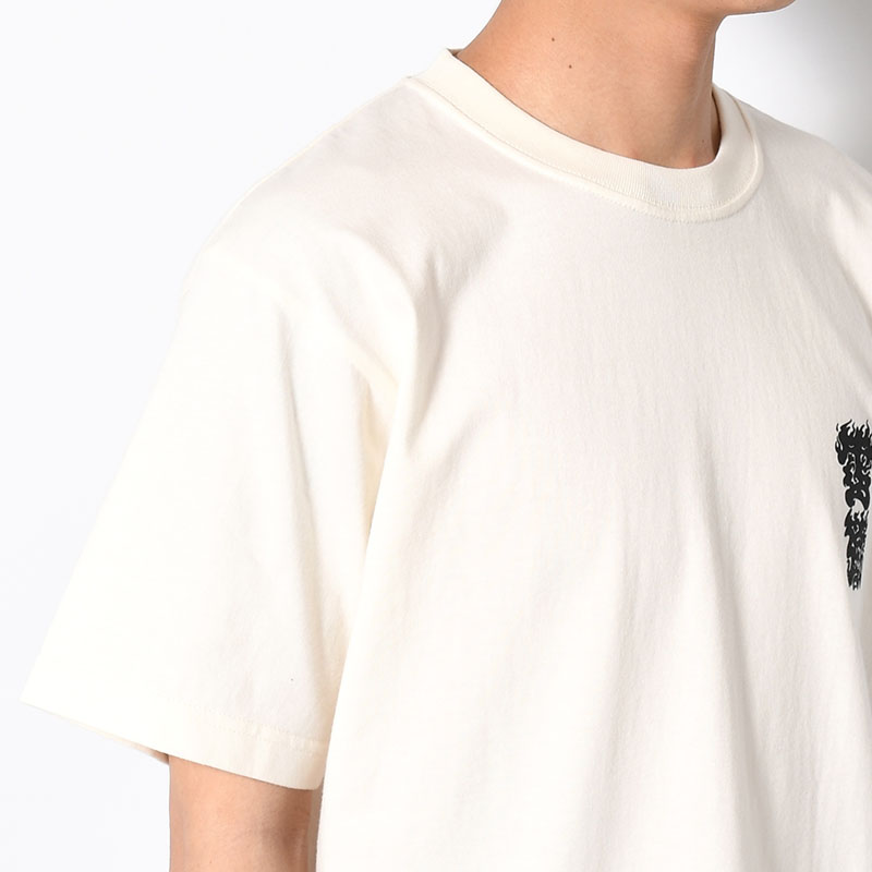 TORATAIZI T -2.COLOR-