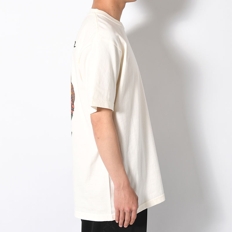 TORATAIZI T -2.COLOR-