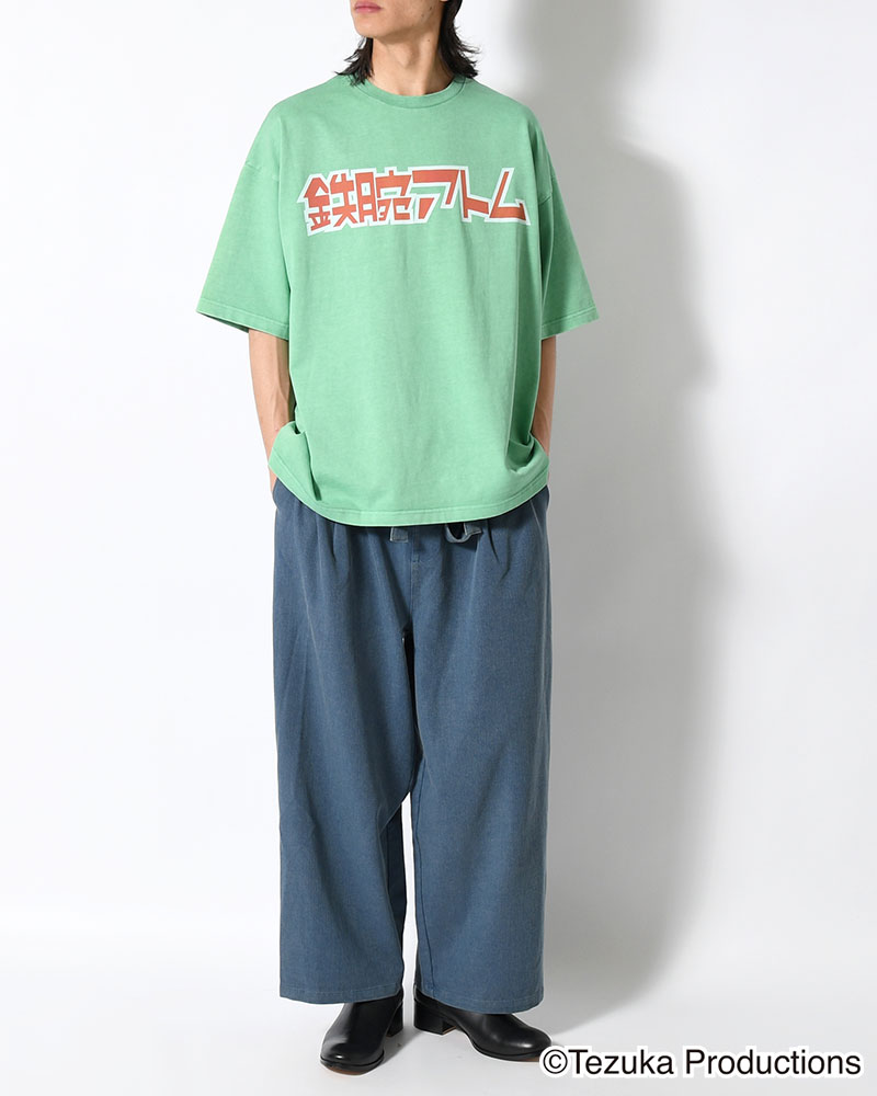 ATOM T -MINT-