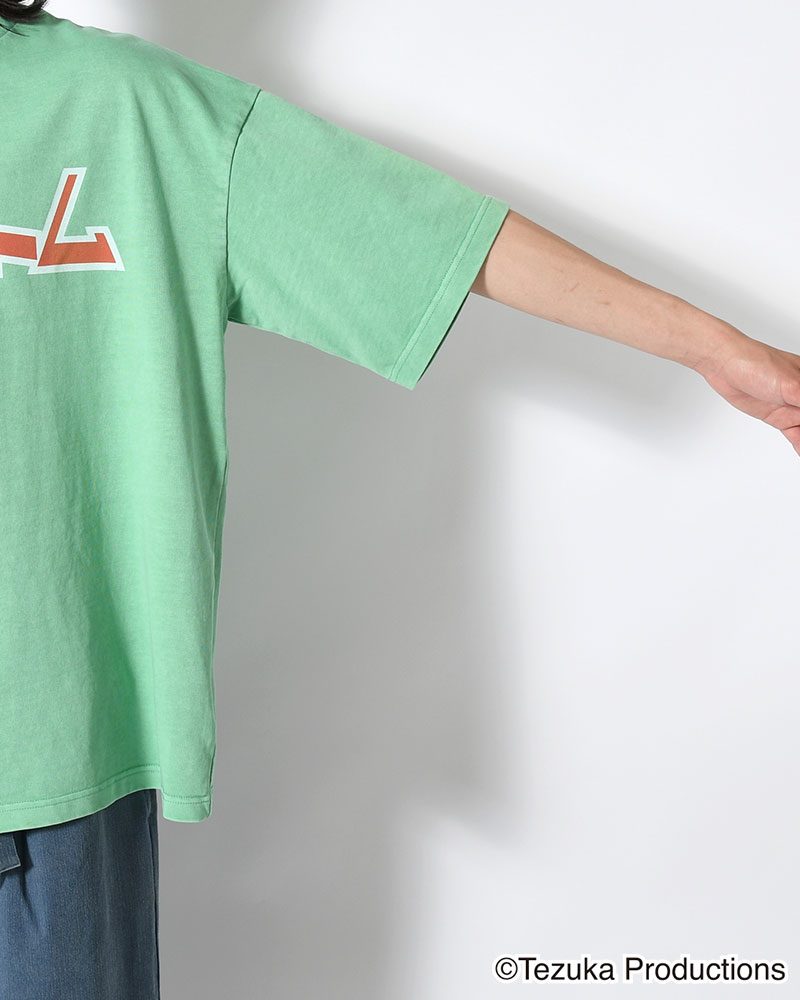 ATOM T -MINT-