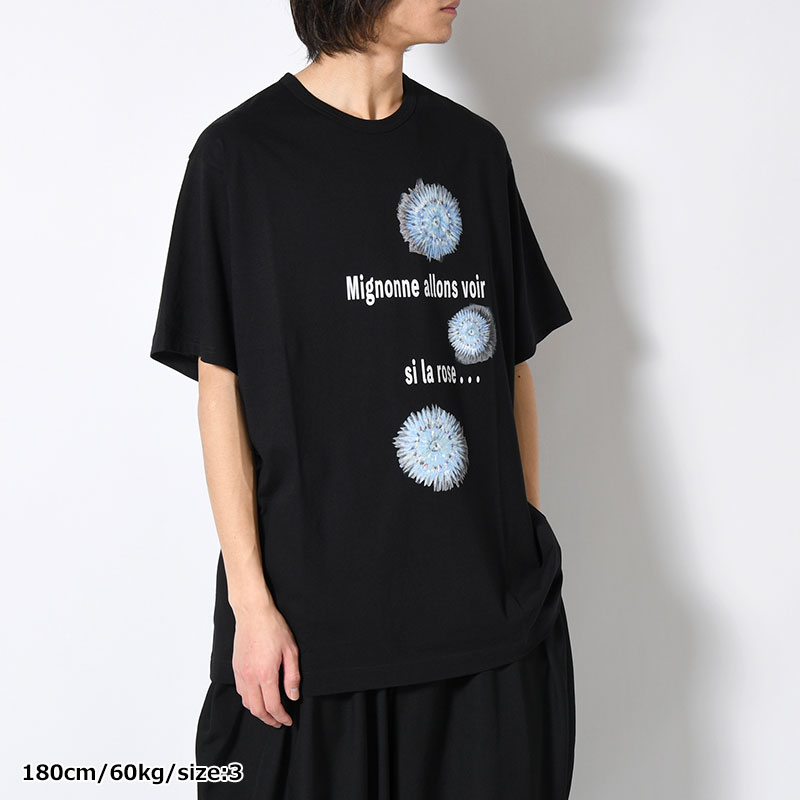 30/- COMBED PLAIN STITCH SHORT SLV T PT D -BLACK-