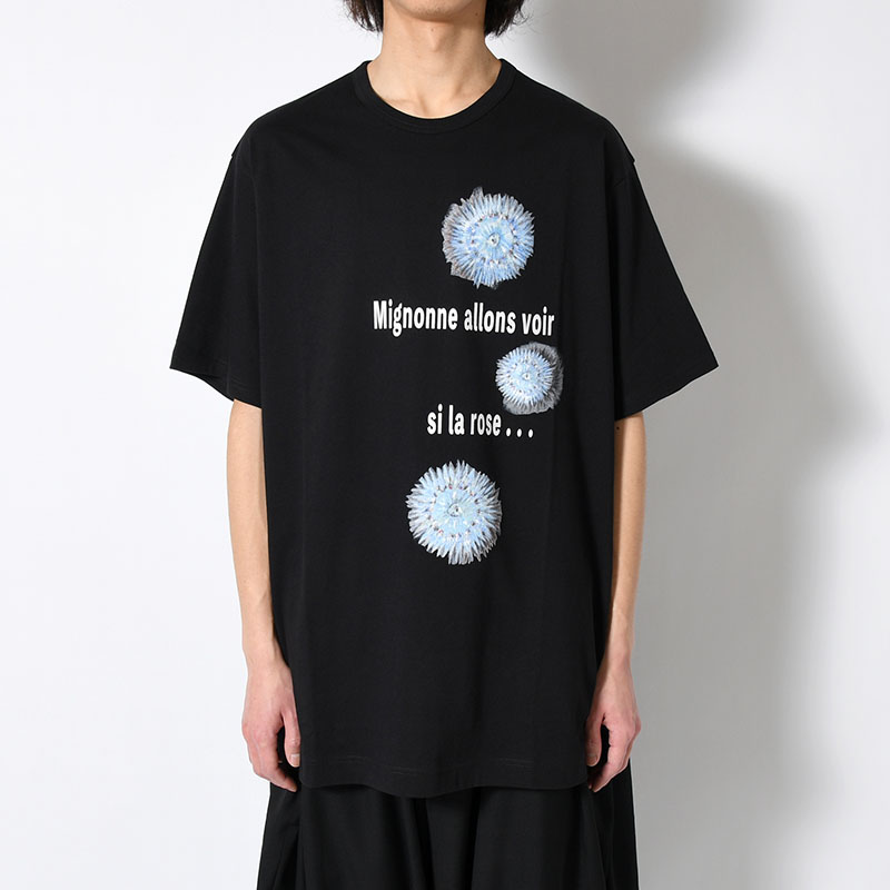 30/- COMBED PLAIN STITCH SHORT SLV T PT D -BLACK-