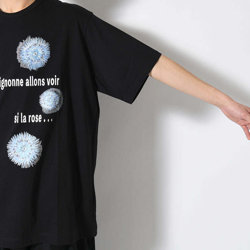 30/- COMBED PLAIN STITCH SHORT SLV T PT D -BLACK-