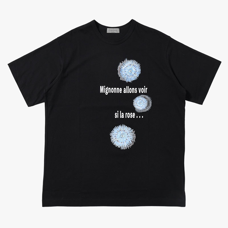 30/- COMBED PLAIN STITCH SHORT SLV T PT D -BLACK-